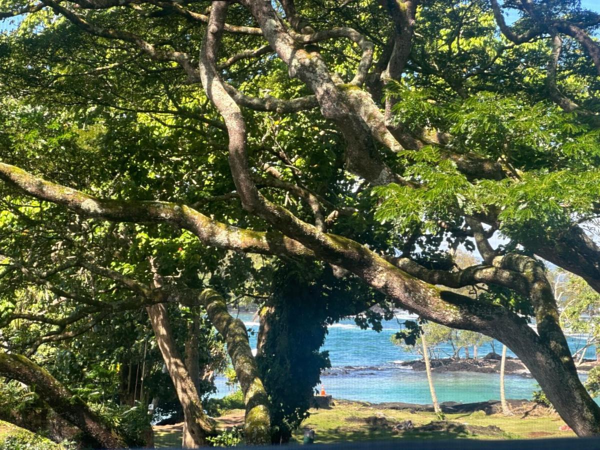 Ocean View Mauna Loa Shores Kai Ekahi #201 Next To Carlsmith Beach Park Hilo Hi Exteriör bild