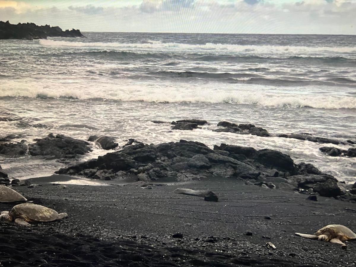 Ocean View Mauna Loa Shores Kai Ekahi #201 Next To Carlsmith Beach Park Hilo Hi Exteriör bild