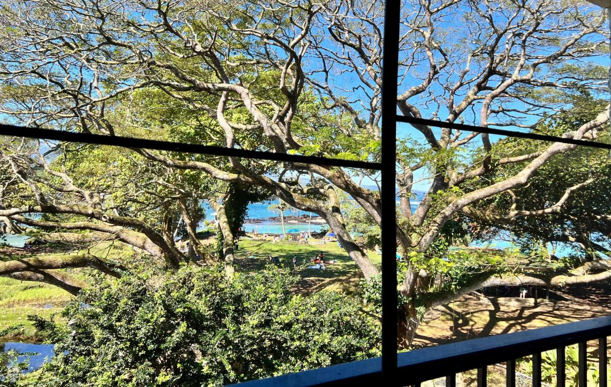 Ocean View Mauna Loa Shores Kai Ekahi #201 Next To Carlsmith Beach Park Hilo Hi Exteriör bild