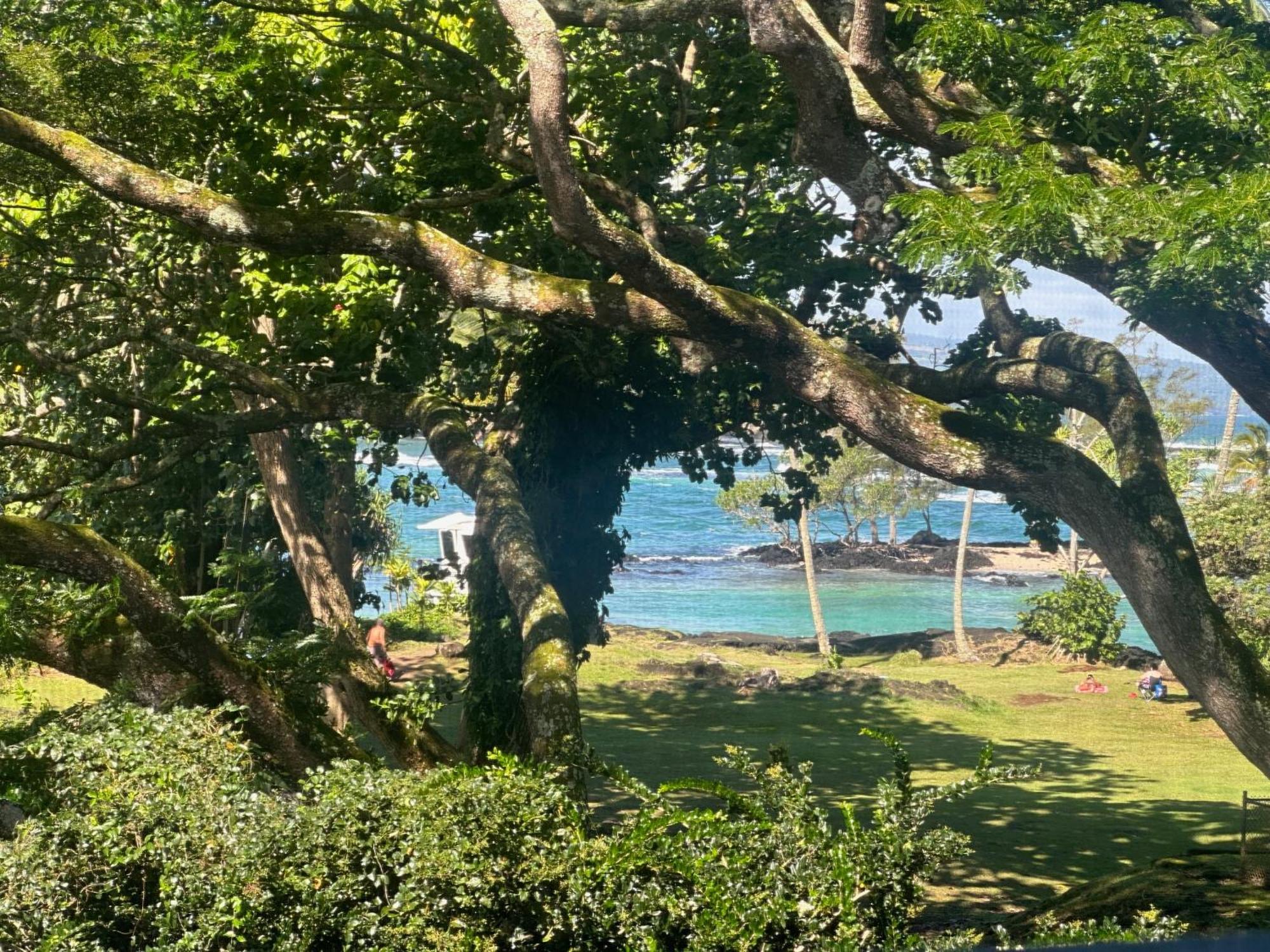 Ocean View Mauna Loa Shores Kai Ekahi #201 Next To Carlsmith Beach Park Hilo Hi Exteriör bild